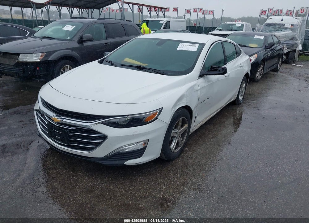 2019 CHEVROLET MALIBU VIN: 1G1ZB5ST6KF207152