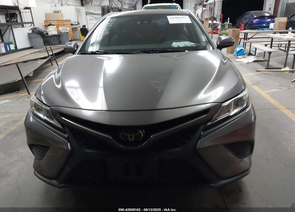 2019 TOYOTA CAMRY VIN: 4T1B11HK5KU808563