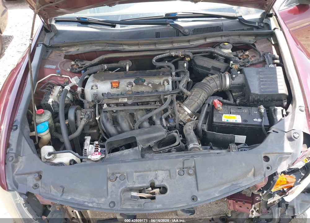 2010 HONDA ACCORD VIN: 1HGCP2F88AA109210