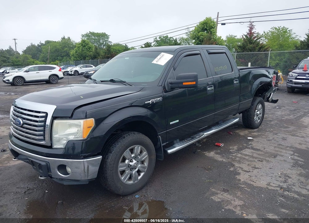 2011 FORD F-150 VIN: 1FTFW1ETXBFB94649