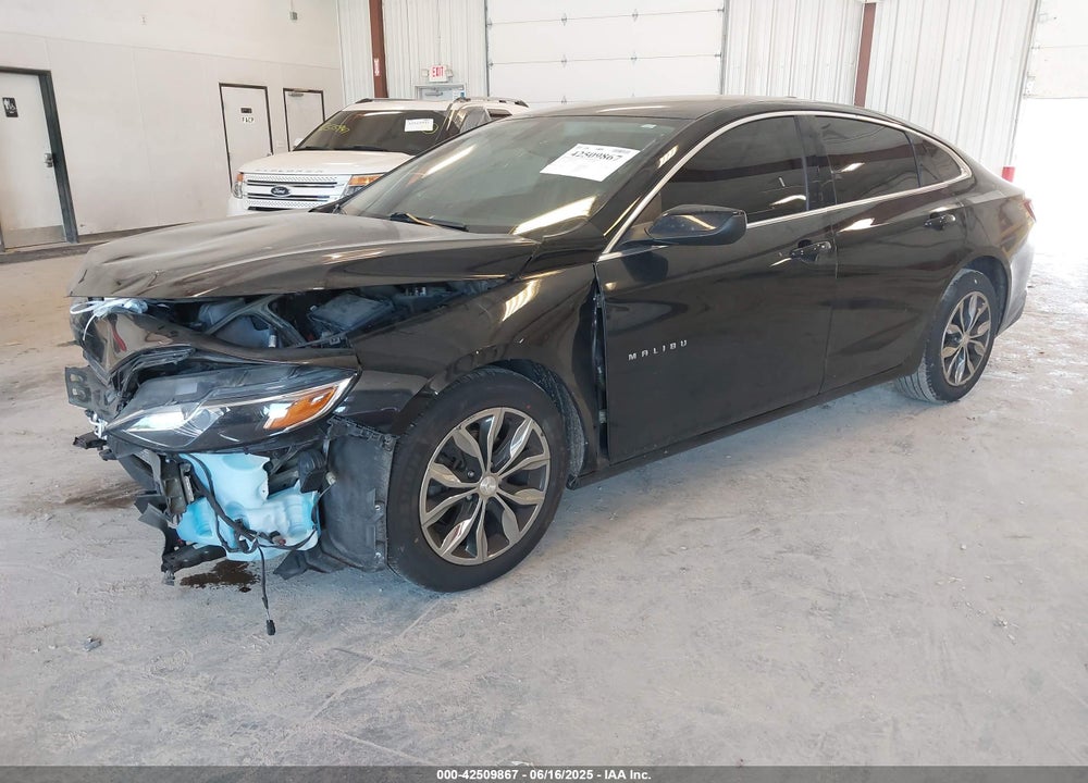 2019 CHEVROLET MALIBU VIN: 1G1ZD5ST9KF167773