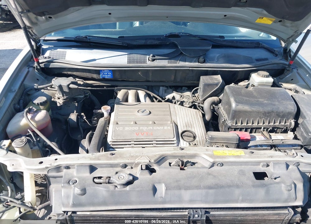 2001 LEXUS RX 300 VIN: JTJGF10UX10101387