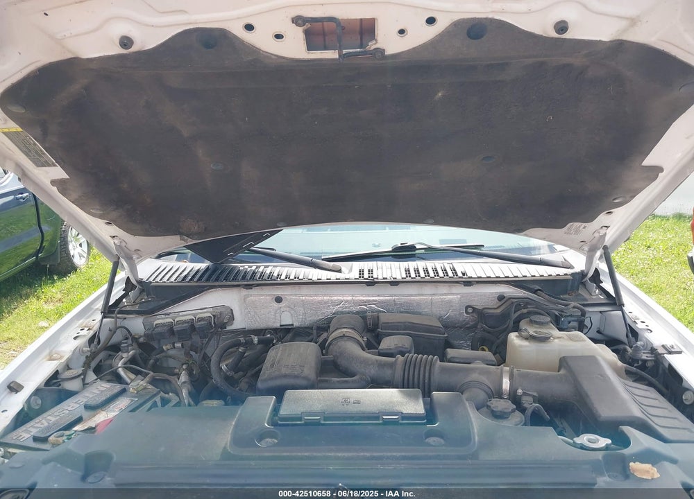 2010 FORD EXPEDITION XLT VIN: 1FMJU1G55AEB56079