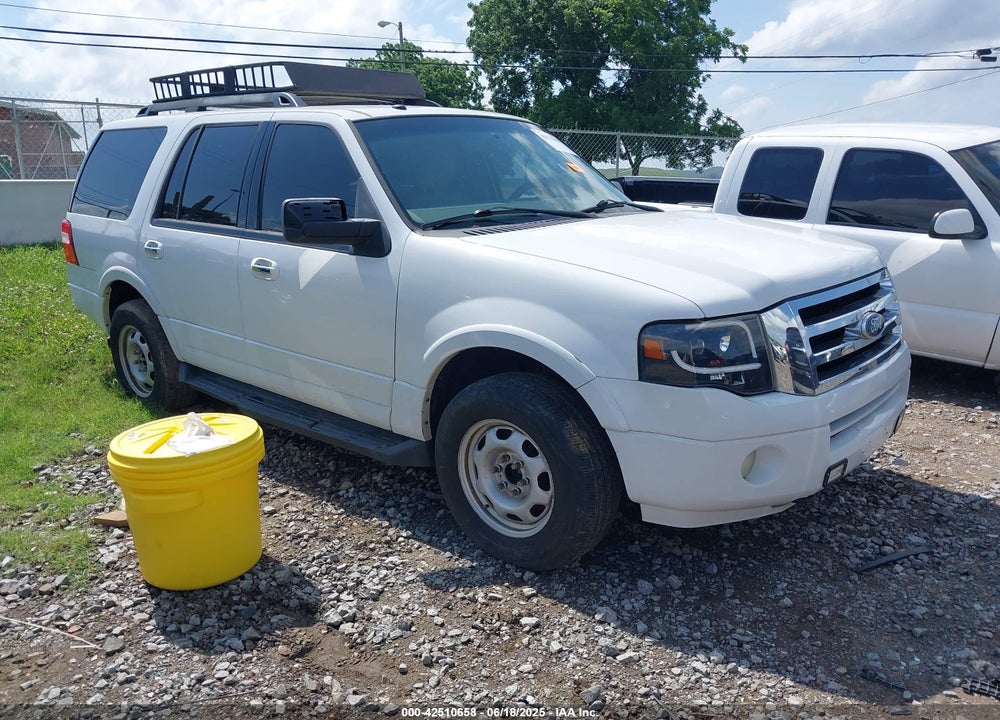 2010 FORD EXPEDITION XLT VIN: 1FMJU1G55AEB56079