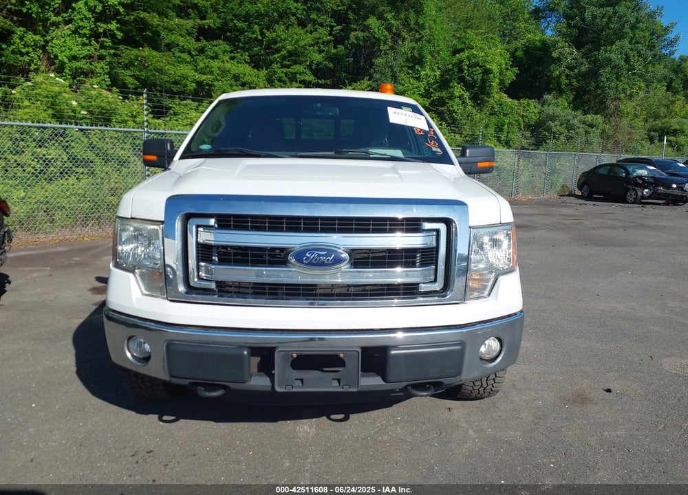 2013 FORD F-150 VIN: 1FTFX1EF5DKF49261