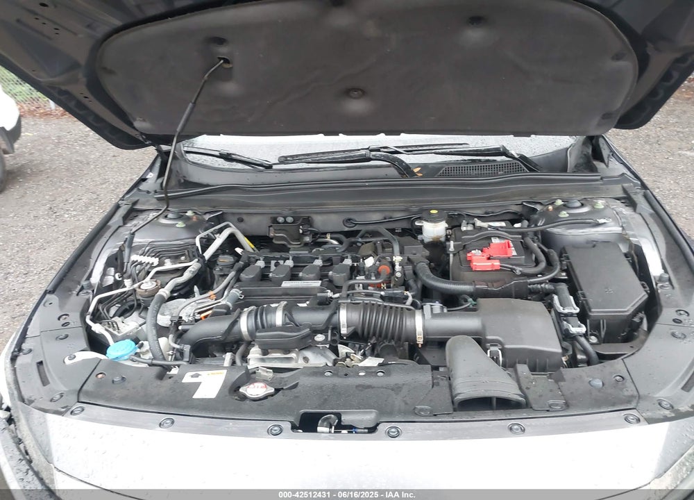 2019 HONDA ACCORD VIN: 1HGCV1F3XKA054328
