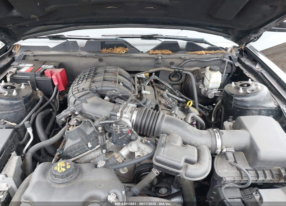 2014 FORD MUSTANG VIN: 1ZVBP8AMXE5246260