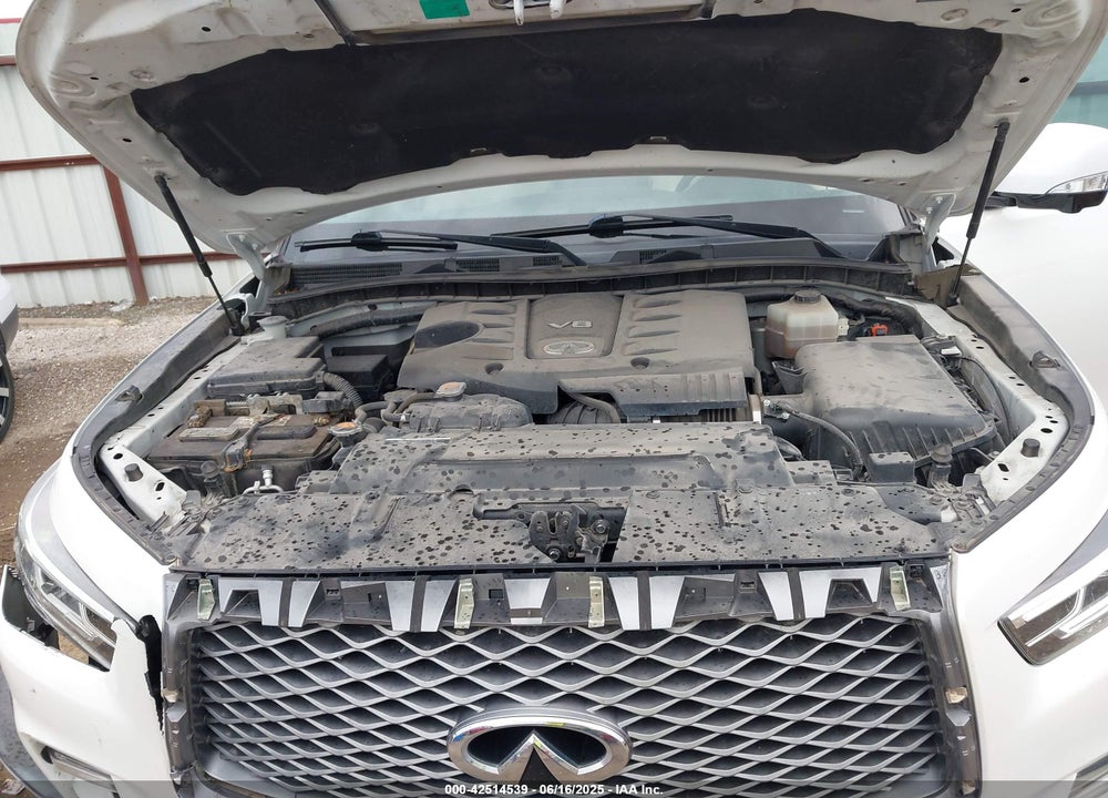 2019 INFINITI QX80 LUXE VIN: JN8AZ2ND2K9850281