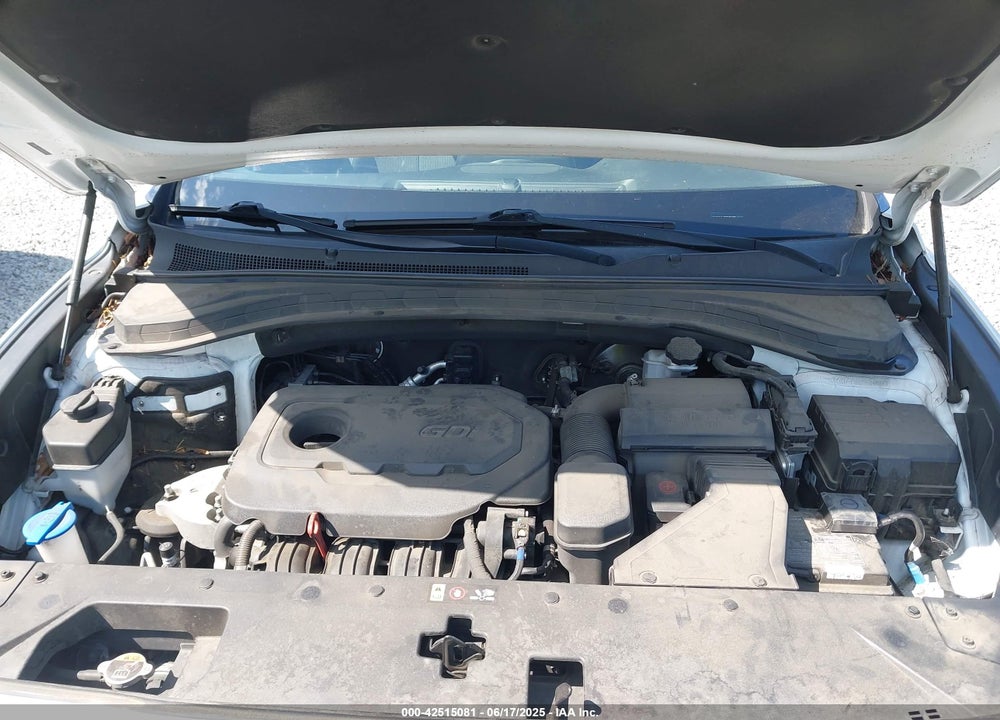 2019 HYUNDAI SANTA FE SE VIN: 5NMS2CAD1KH121306