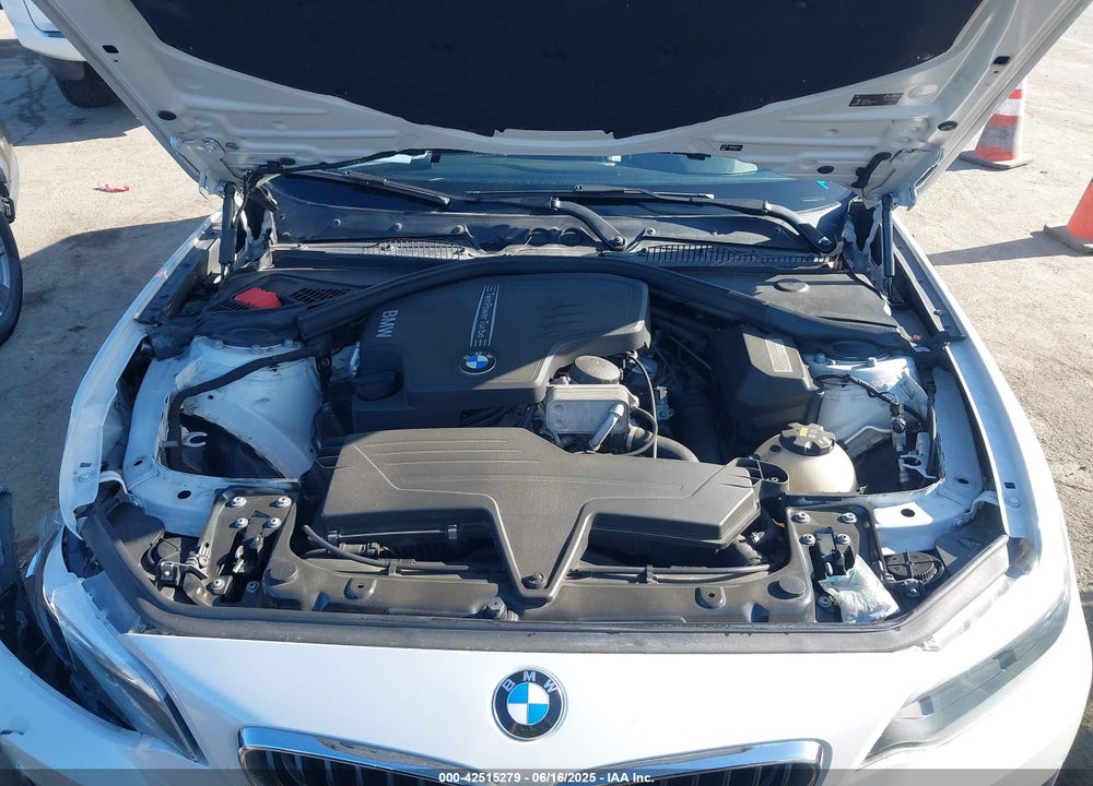 2016 BMW 228I VIN: WBA1F9C59GV545980
