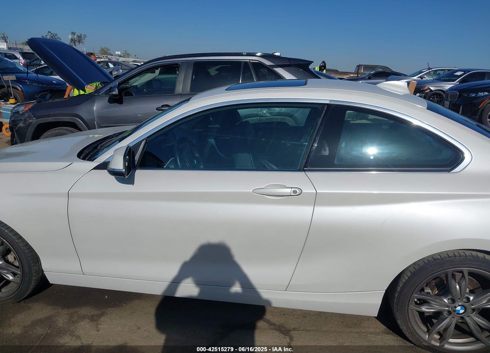 2016 BMW 228I VIN: WBA1F9C59GV545980