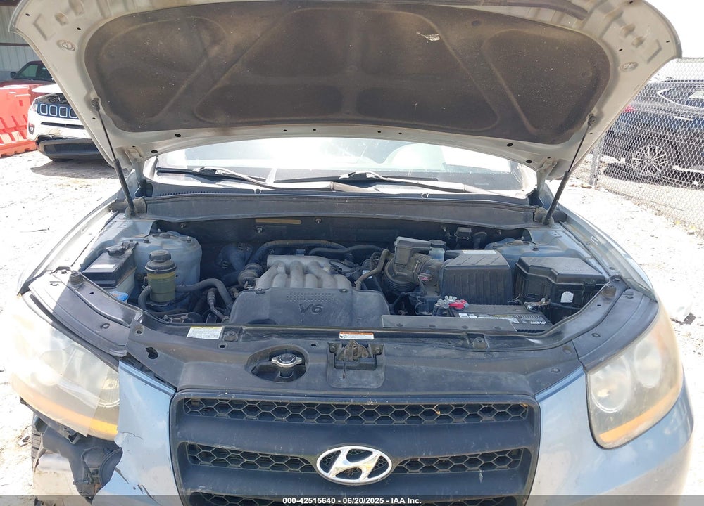 2009 HYUNDAI SANTA FE VIN: 5NMSG13D39H250600