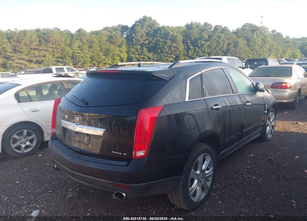 2010 CADILLAC SRX PERFORMANCE COLLECTION VIN: 3GYFNBEY6AS563788