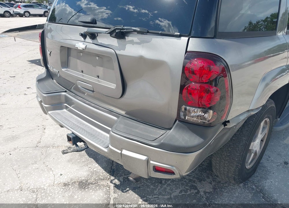 2006 CHEVROLET TRAILBLAZER VIN: 1GNDS13S462196320