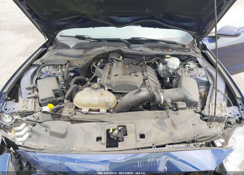 2019 FORD MUSTANG VIN: 1FA6P8TH3K5174131