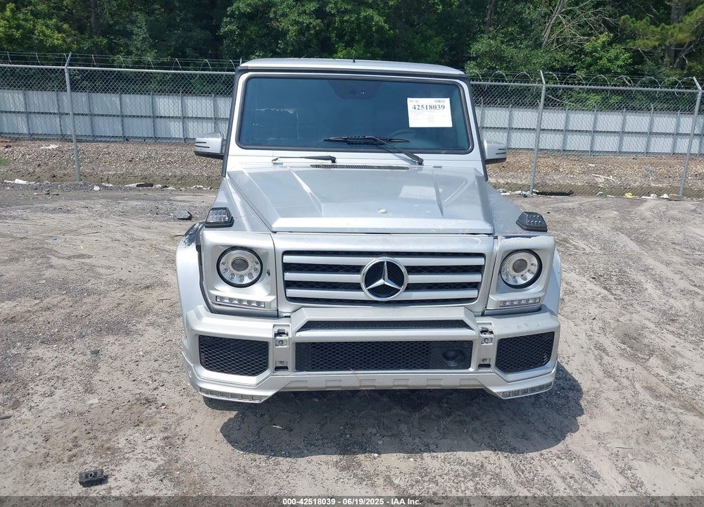 2006 MERCEDES-BENZ G-CLASS VIN: WDCYR49E96X165912