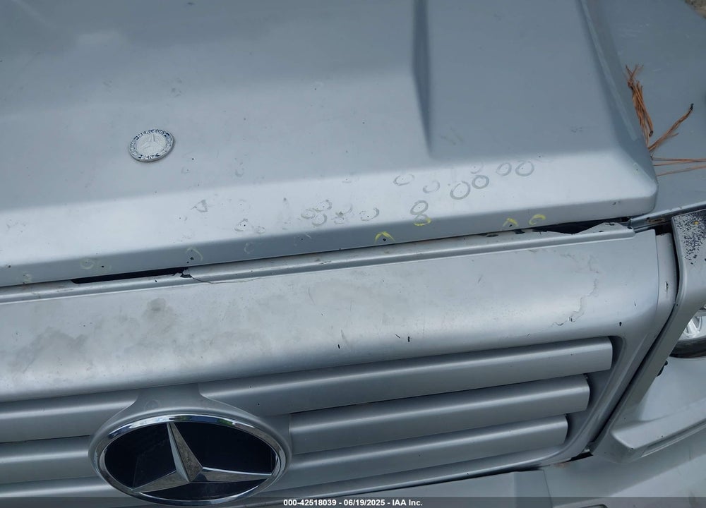 2006 MERCEDES-BENZ G-CLASS VIN: WDCYR49E96X165912