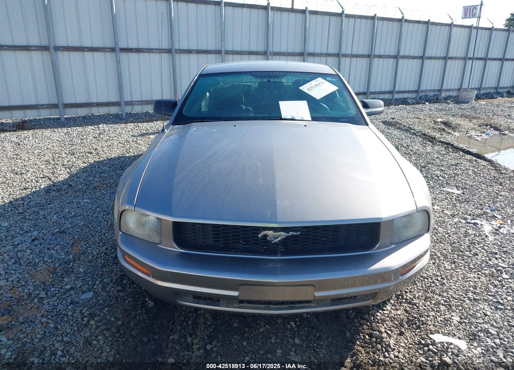 2009 FORD MUSTANG VIN: 1ZVHT80N495114004
