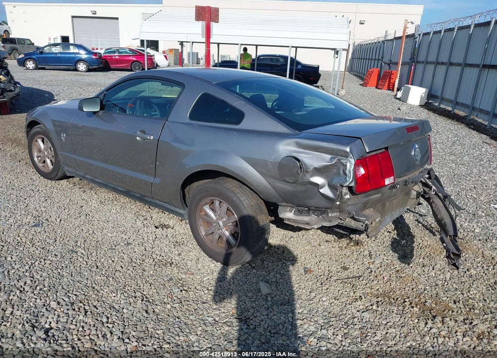 2009 FORD MUSTANG VIN: 1ZVHT80N495114004