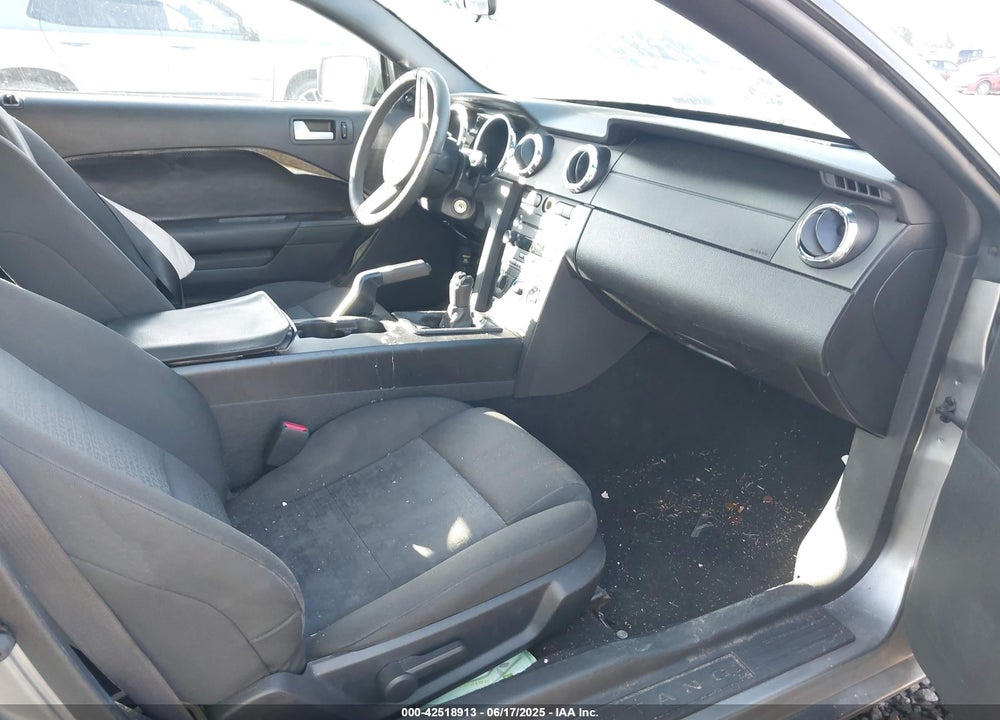 2009 FORD MUSTANG VIN: 1ZVHT80N495114004