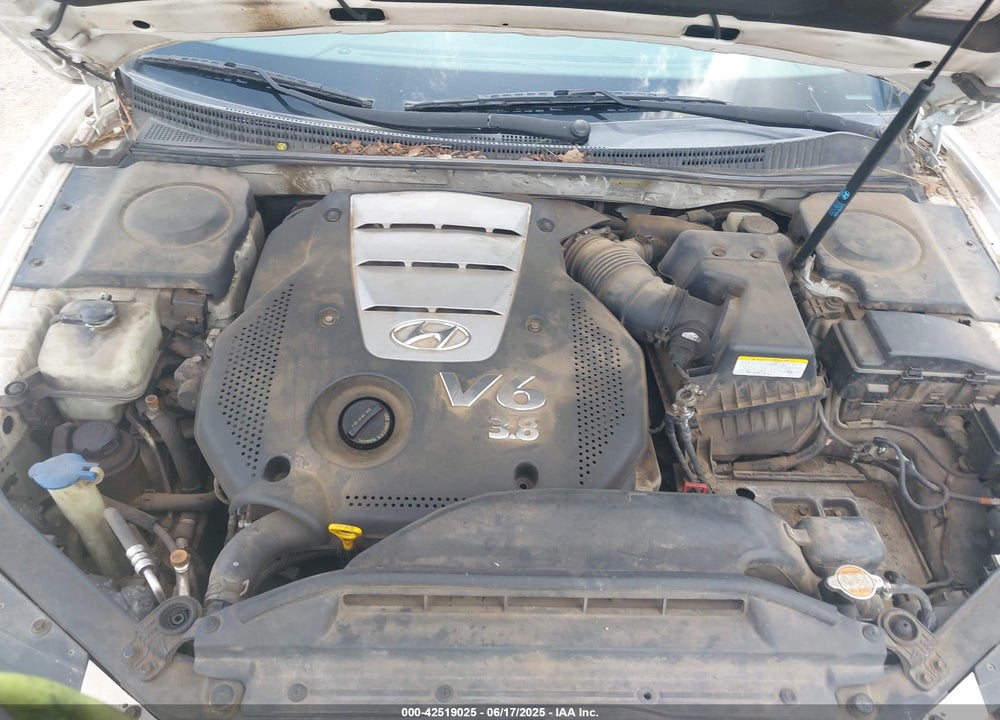 2006 HYUNDAI AZERA LIMITED/SE VIN: KMHFC46F66A098423