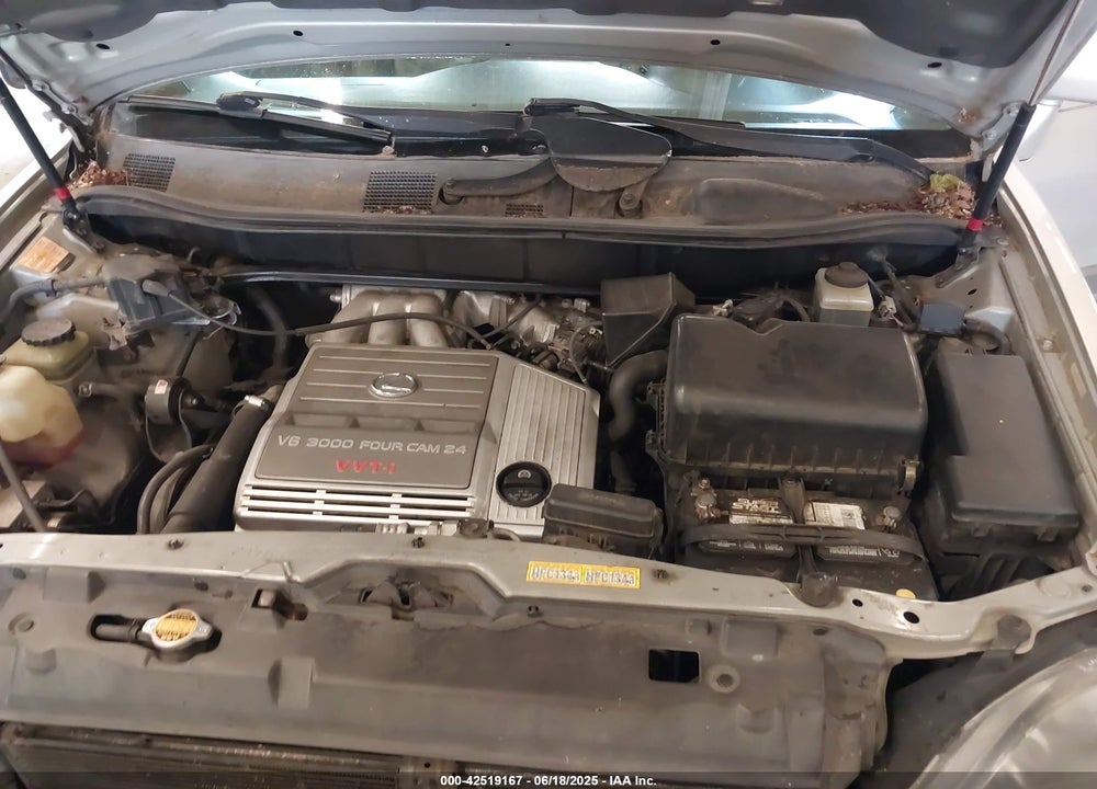 1999 LEXUS RX 300 VIN: JT6HF10U1X0076161