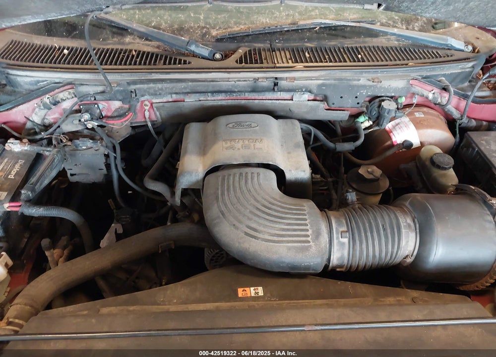 2002 FORD F-150 LARIAT/XL/XLT VIN: 2FTRX17W32CA35548