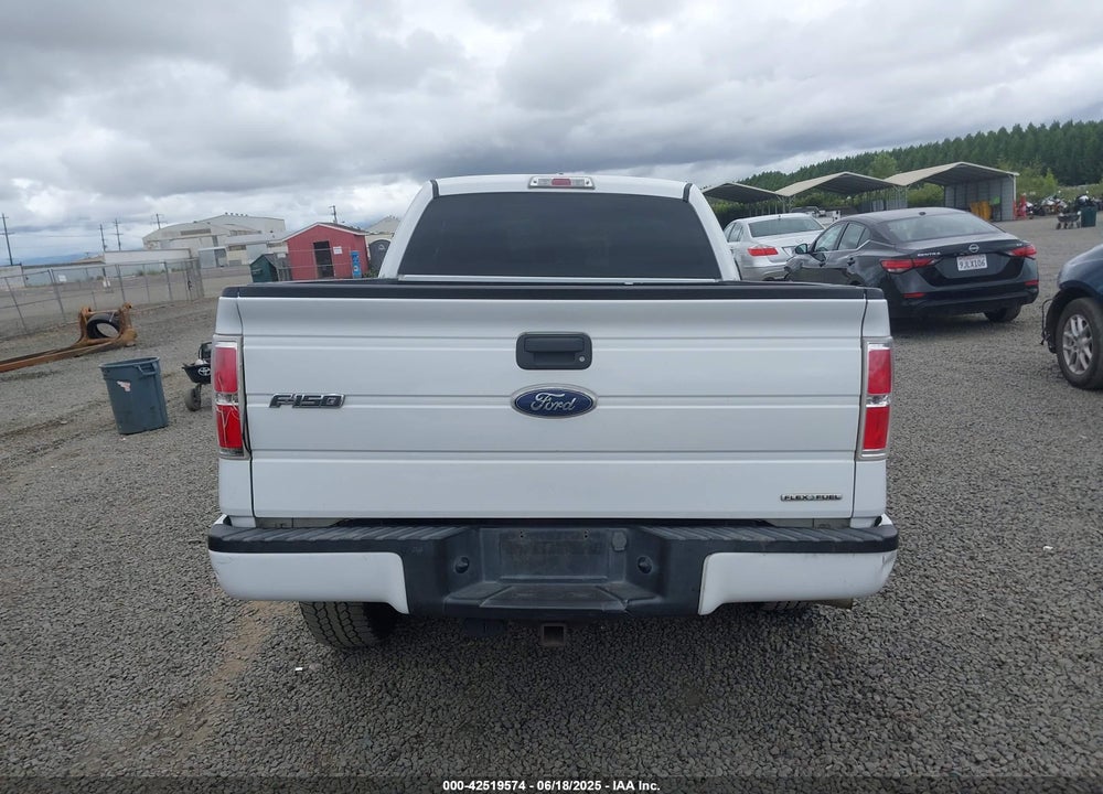 2012 FORD F-150 VIN: 1FTFX1EF4CFB24976