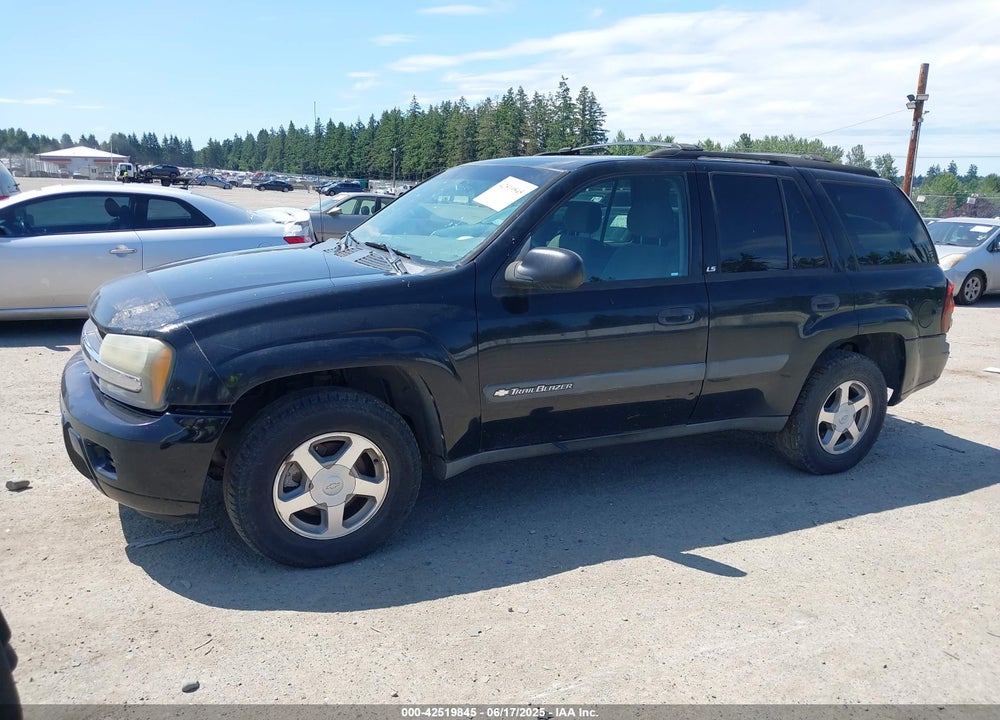 2004 CHEVROLET TRAILBLAZER LS VIN: 1GNDS13S942282915