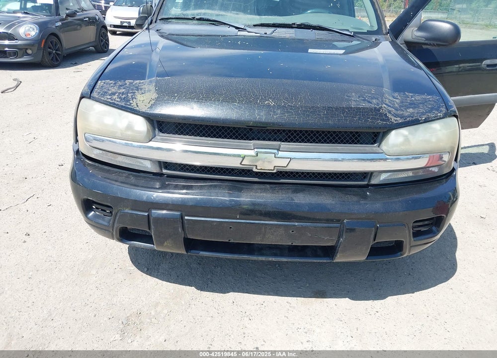 2004 CHEVROLET TRAILBLAZER LS VIN: 1GNDS13S942282915