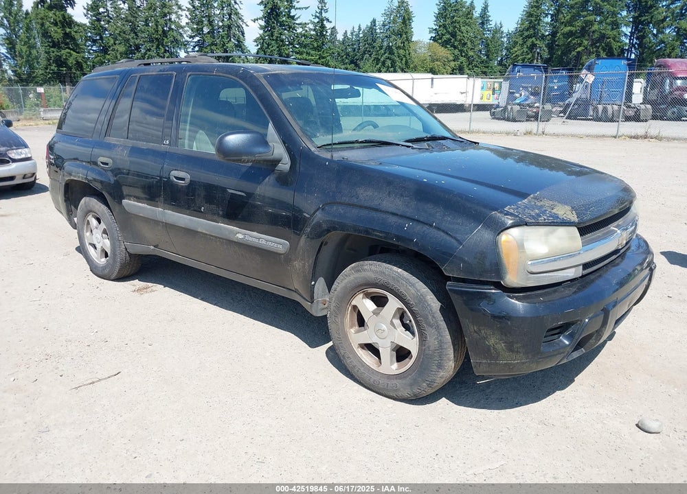 2004 CHEVROLET TRAILBLAZER LS VIN: 1GNDS13S942282915