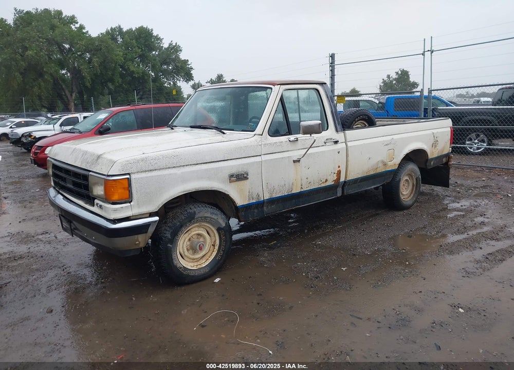1988 FORD F150 VIN: 2FTEF14Y6JCA33783
