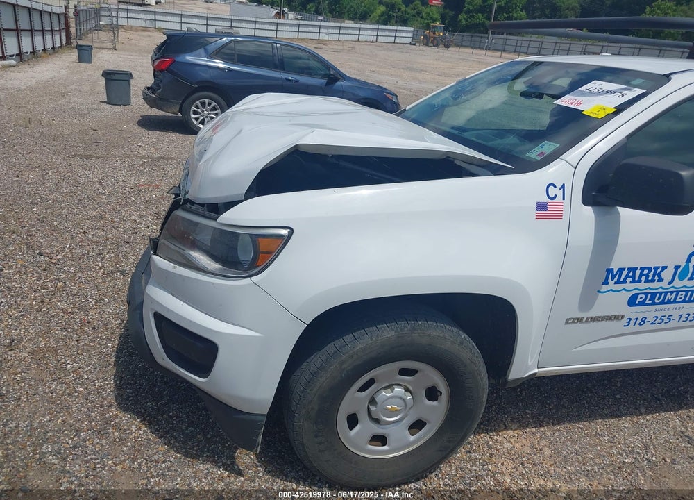 2019 CHEVROLET COLORADO VIN: 1GCHSBEA9K1295316