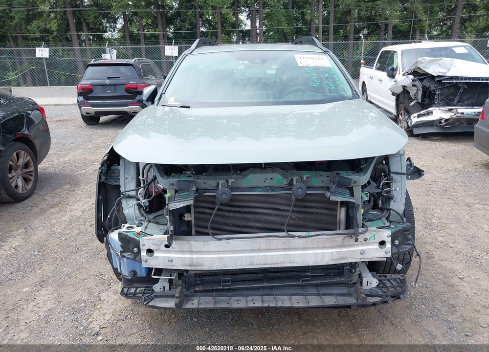 2019 TOYOTA RAV4 ADVENTURE VIN: 2T3J1RFV1KW043396