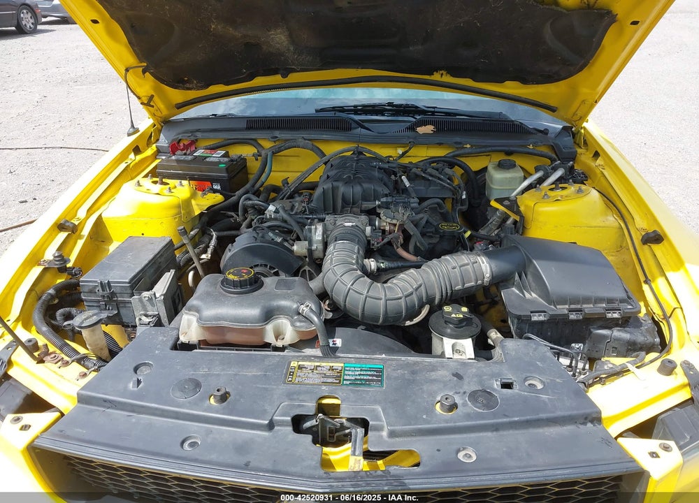 2005 FORD MUSTANG VIN: 1ZVFT80N955161885