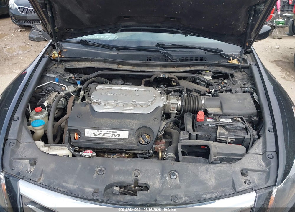 2011 HONDA ACCORD VIN: 1HGCP3F89BA019619