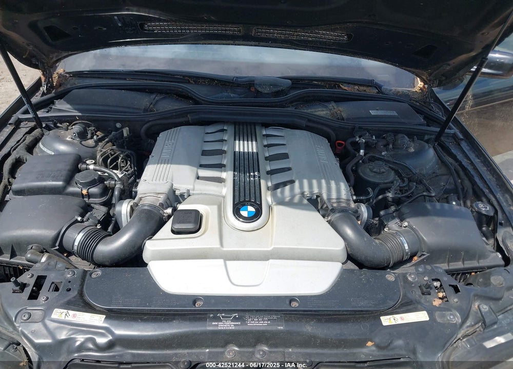 2003 BMW 760LI VIN: WBAGN83463DK10660