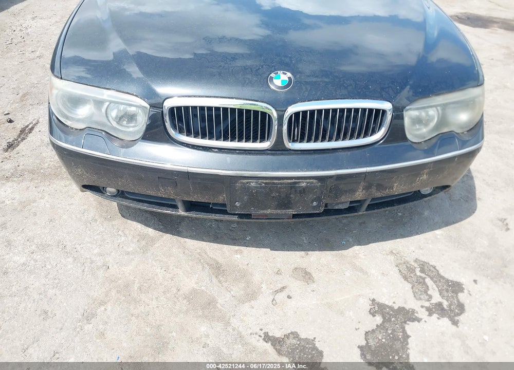 2003 BMW 760LI VIN: WBAGN83463DK10660