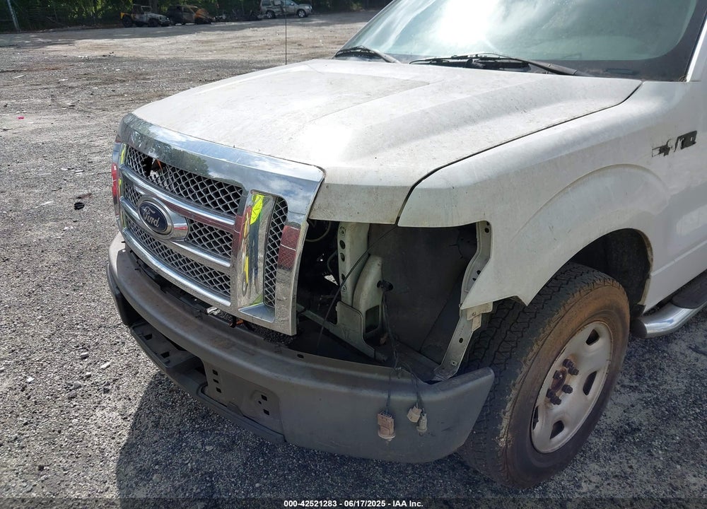2009 FORD F-150 VIN: 1FTRX12W89KB56105