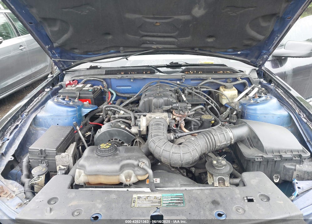 2005 FORD MUSTANG V6 DELUXE/V6 PREMIUM VIN: 1ZVFT80N655234887