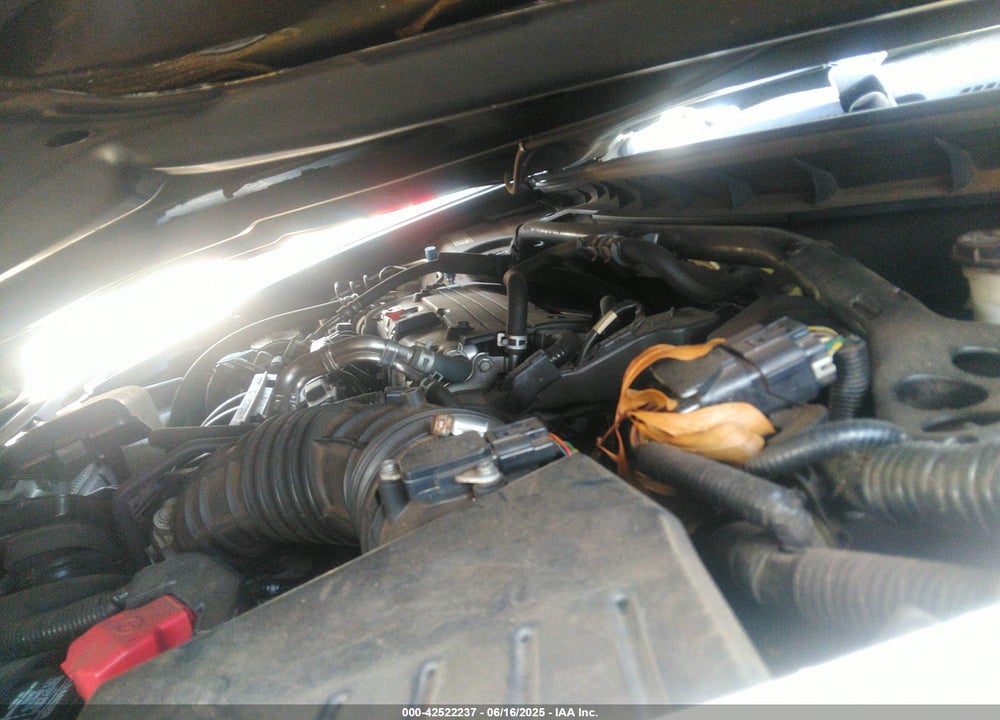 2010 HONDA ACCORD VIN: 1HGCP2F85AA161779