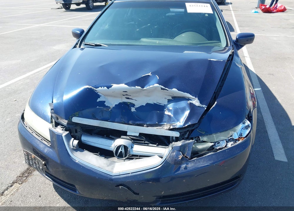 2004 ACURA TL VIN: 19UUA66254A071691
