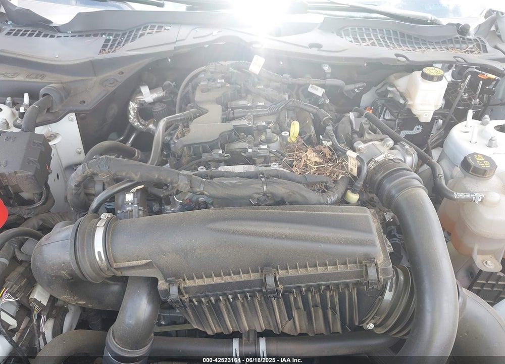 2024 FORD MUSTANG ECOBOOST FASTBACK VIN: 1FA6P8TH4R5118175