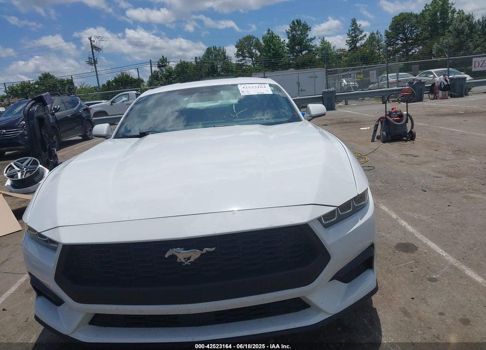 2024 FORD MUSTANG ECOBOOST FASTBACK VIN: 1FA6P8TH4R5118175