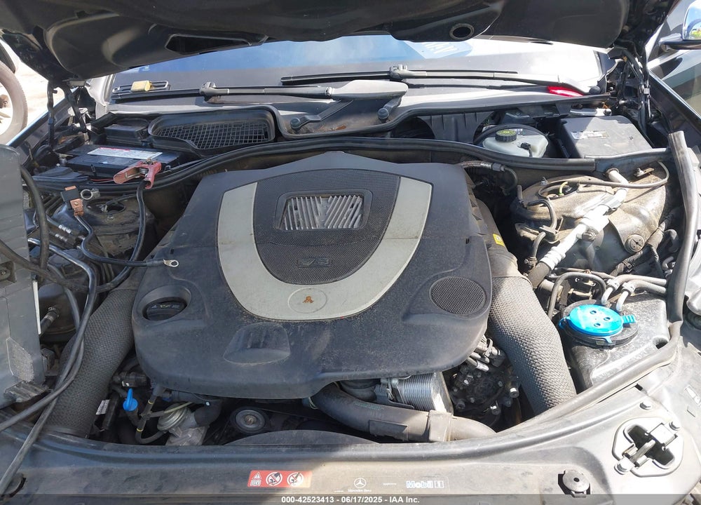 2010 MERCEDES-BENZ S 550 VIN: WDDNG7BB8AA313436