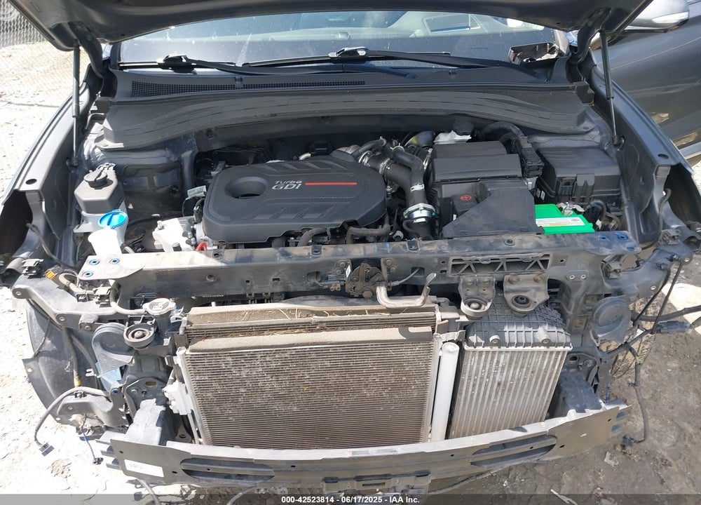 2019 HYUNDAI SANTA FE VIN: 5NMS53AA8KH019448