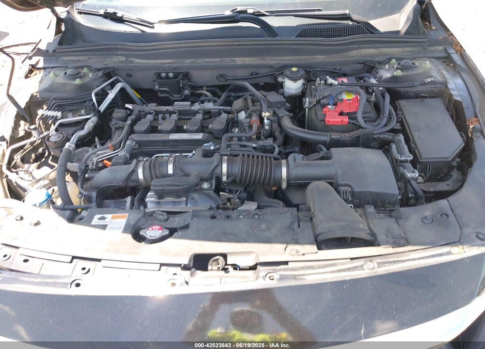 2019 HONDA ACCORD VIN: 1HGCV1F18KA040569