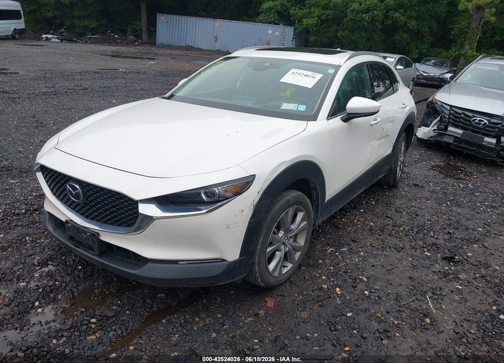 2022 MAZDA CX-30 VIN: 3MVDMBDL3NM423566