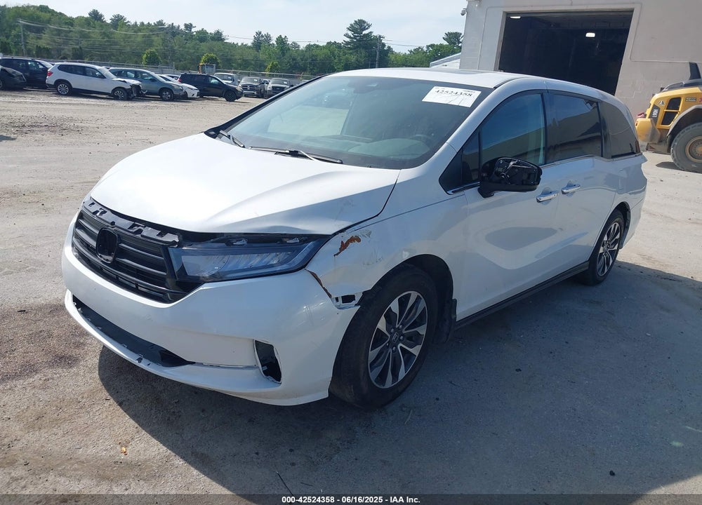 2023 HONDA ODYSSEY EX-L VIN: 5FNRL6H60PB056011