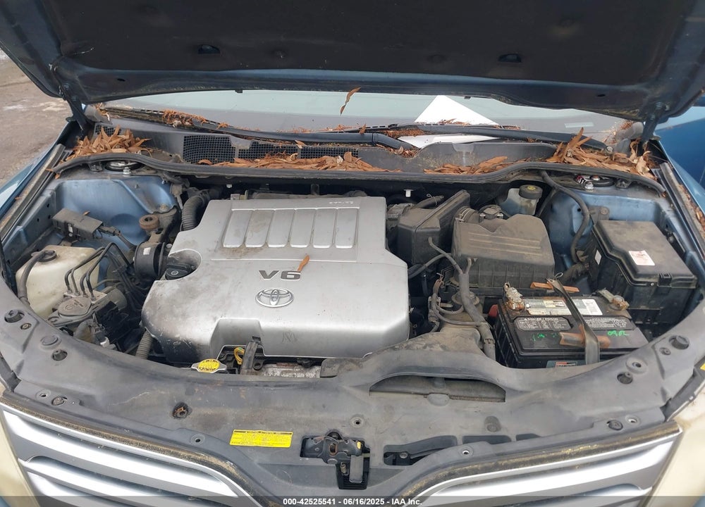 2010 TOYOTA VENZA VIN: 4T3ZK3BB3AU025375